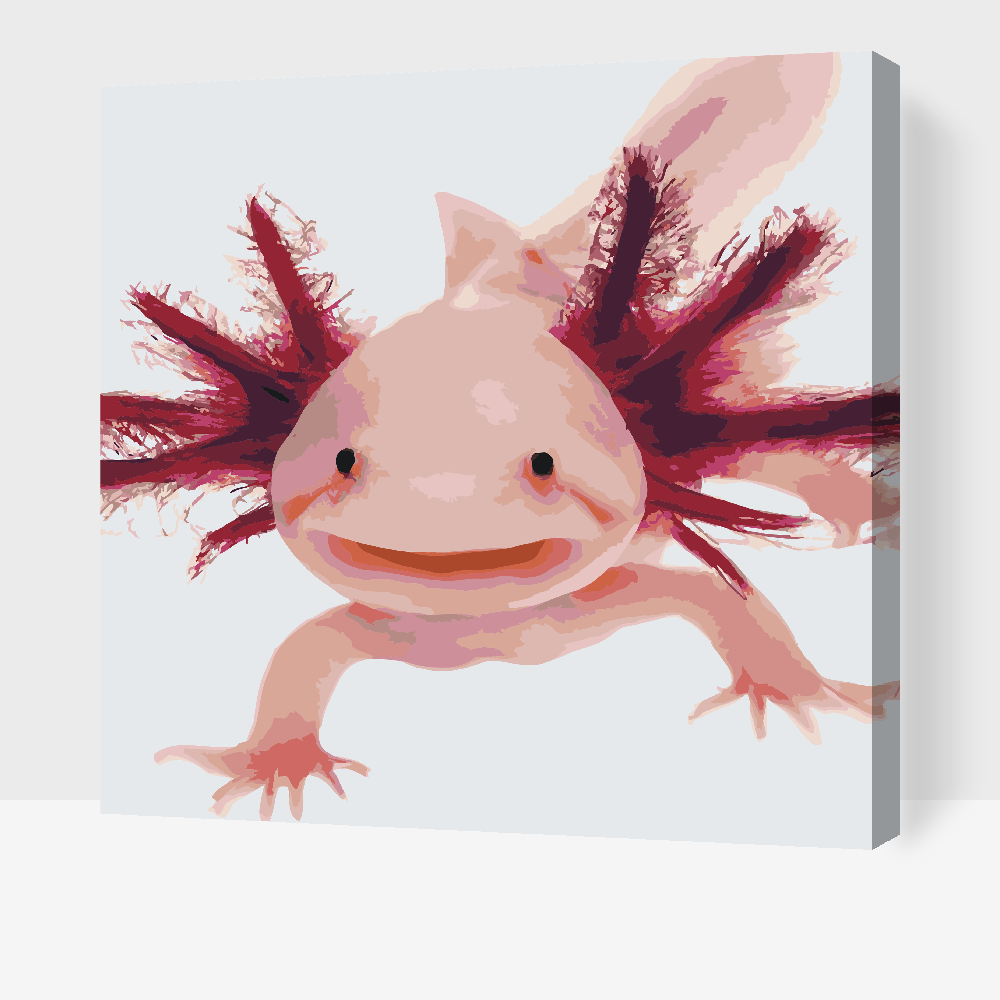 Malování podle čísel - Axolotl 3